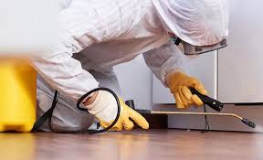 Professional Pest control in Covedale, OH